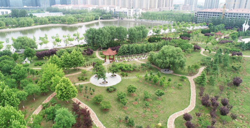 校园风景2018_副本.jpg 校园风景2018_副本.jpg